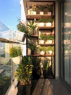 apartment for rent in district 4 D404634 (1)